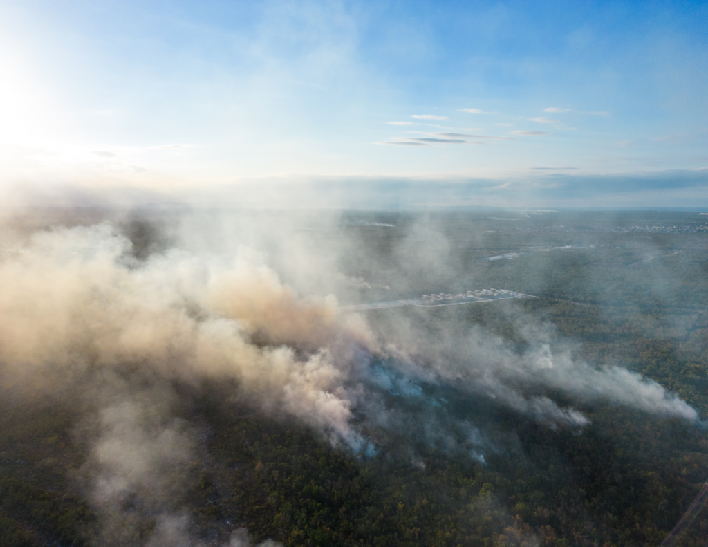 A wild fire burning in a forest